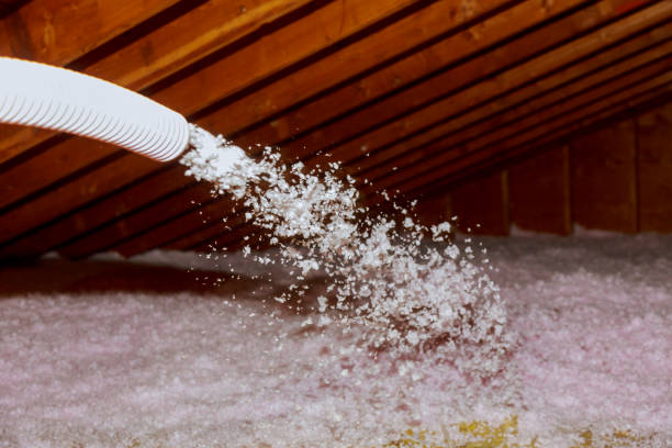 Best Commercial Insulation in Port Orange, FL